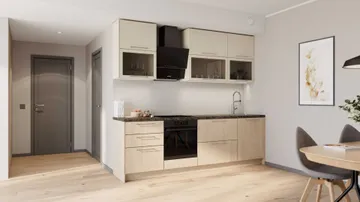 Кухонный гарнитур Liora прямой 264 см